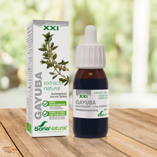 Gayuba Extracto S.XXI Soria Natural